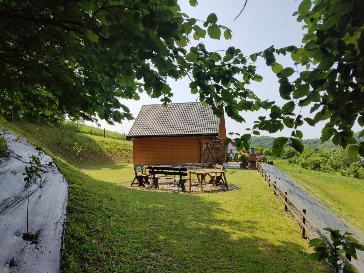 Chaty Na Cholewicy Domki Caloroczne Solina  Extérieur photo